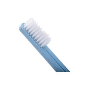 Sản Xuất Bàn Chải Đánh Răng Khách Sạn Hàng Cao Cấp - Tại Xưởng Jesmary